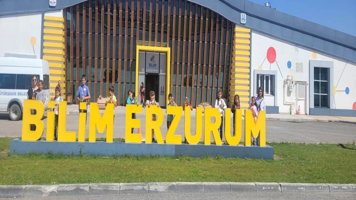 Erzurum Gezisi